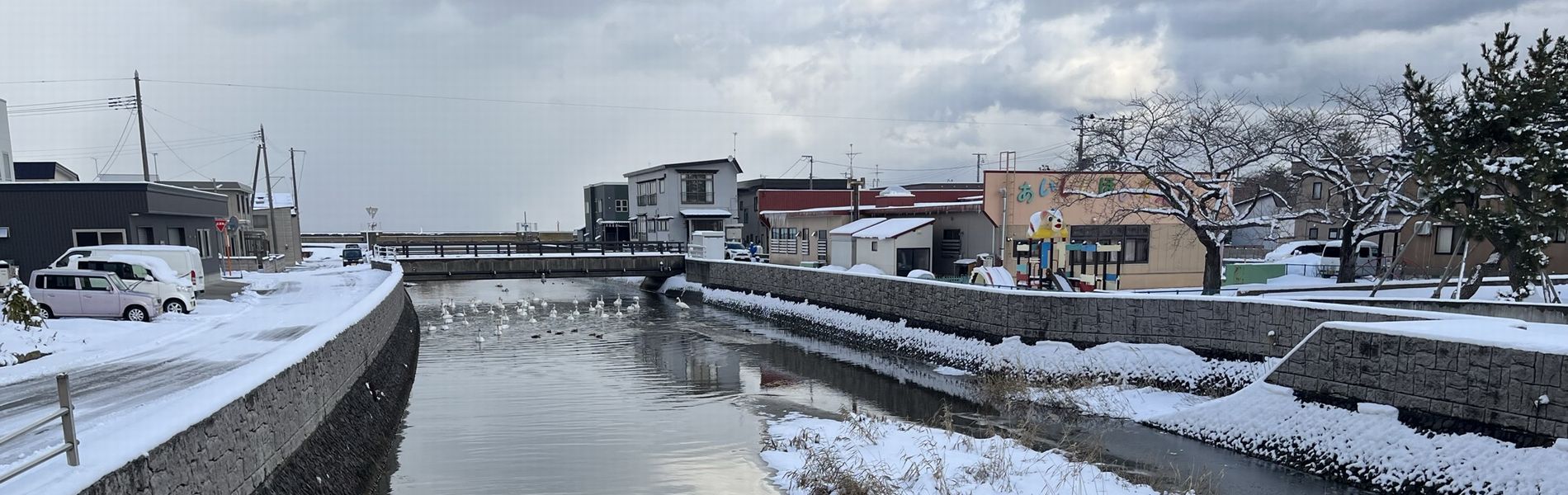 油川